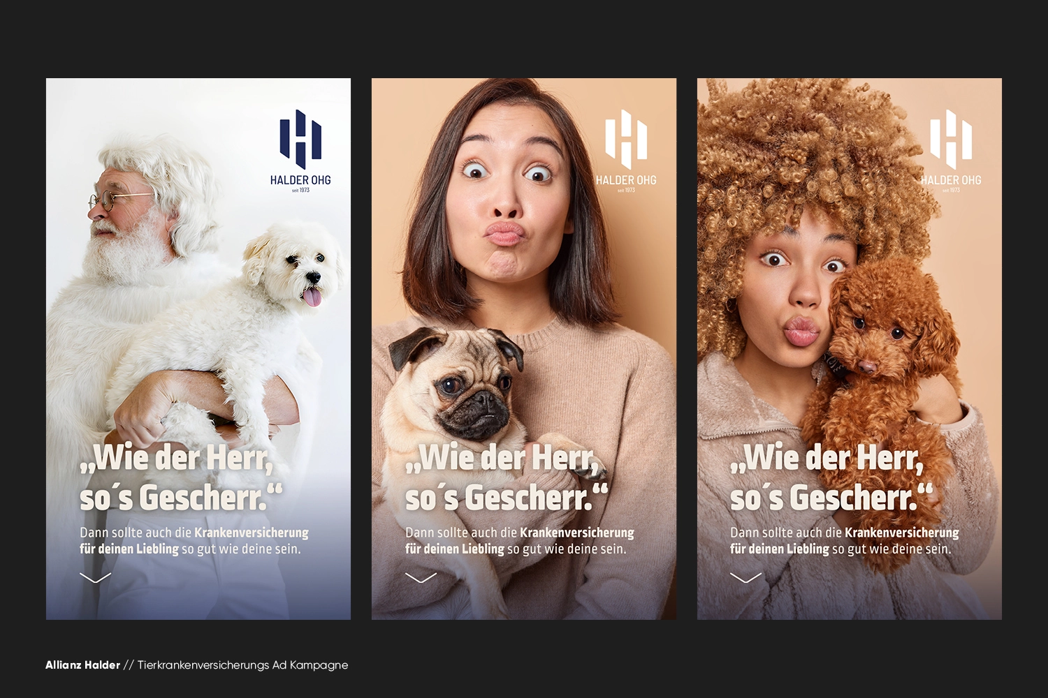 Auf drei Plakaten sind Menschen zu sehen, die mit ihren Hunden posieren, wobei jedes Tier den Stil und den Gesichtsausdruck seines Besitzers widerspiegelt. Ein deutscher Text wirbt für eine passende Haustierversicherung. Der Hintergrund ist neutral, und in der oberen rechten Ecke jedes Plakats befindet sich das Logo der Halder OHG.